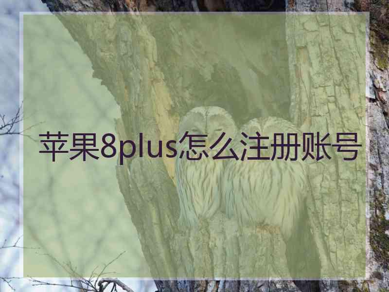 苹果8plus怎么注册账号