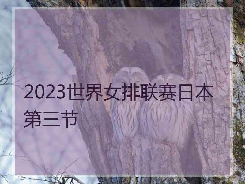 2023世界女排联赛日本第三节