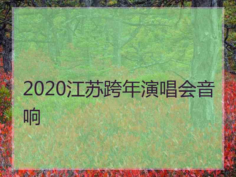 2020江苏跨年演唱会音响