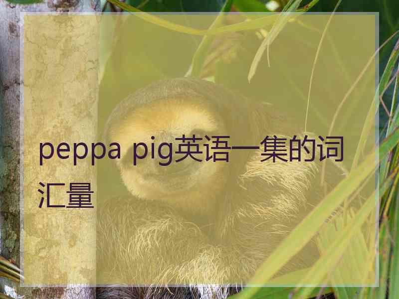 peppa pig英语一集的词汇量