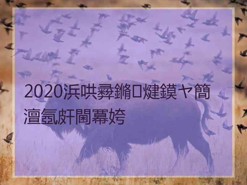 2020浜哄彛鏅煡鏌ヤ簡澶氬皯閫冪姱