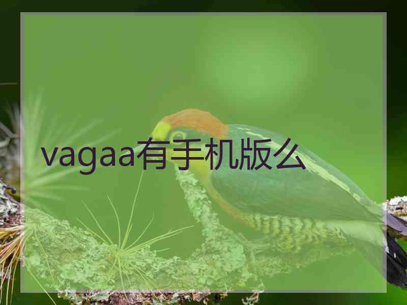 vagaa有手机版么