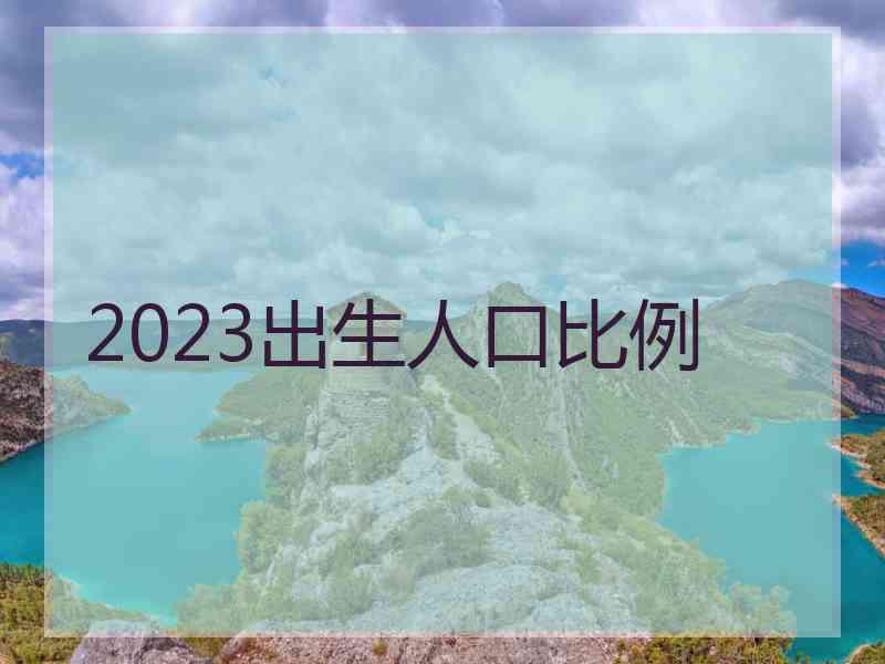 2023出生人口比例