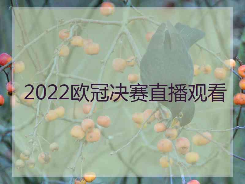 2022欧冠决赛直播观看