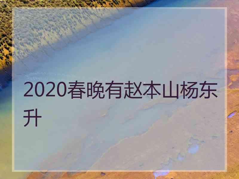 2020春晚有赵本山杨东升