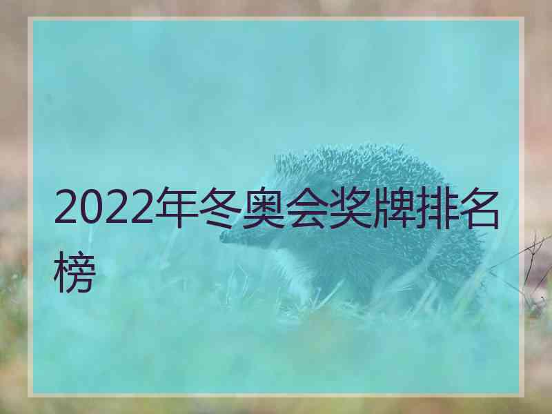 2022年冬奥会奖牌排名榜