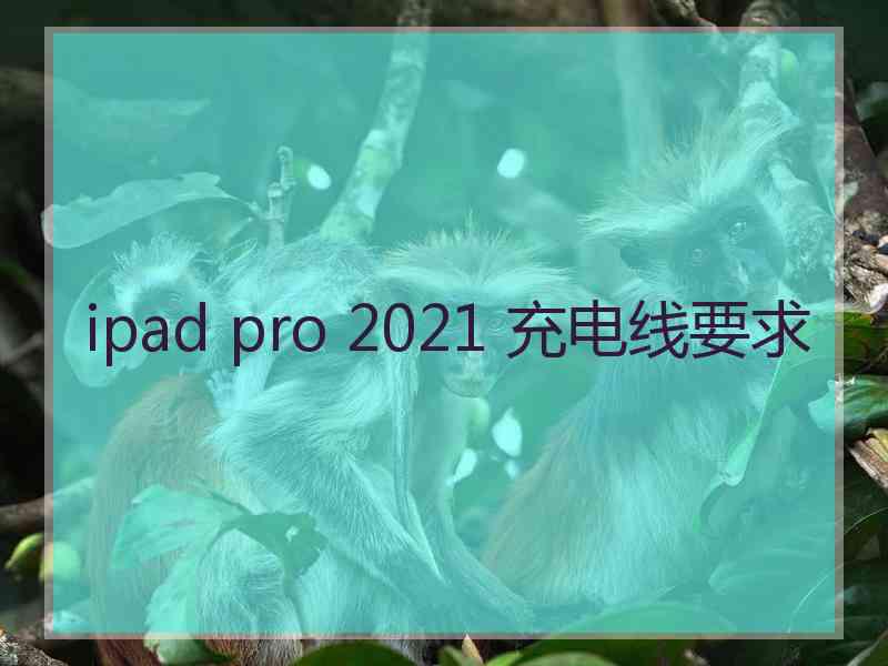 ipad pro 2021 充电线要求