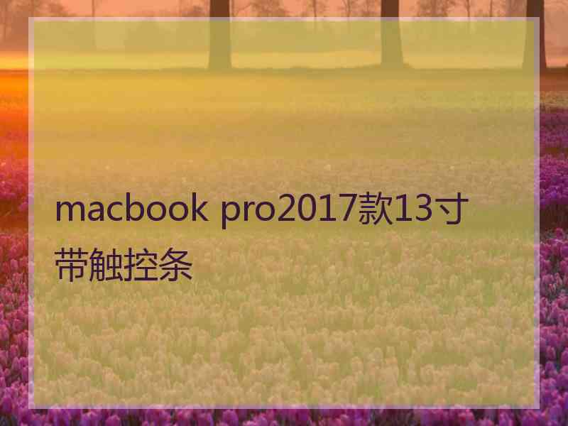 macbook pro2017款13寸带触控条