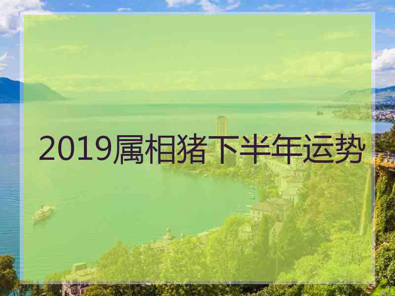 2019属相猪下半年运势