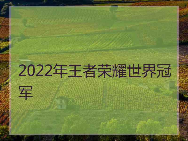 2022年王者荣耀世界冠军