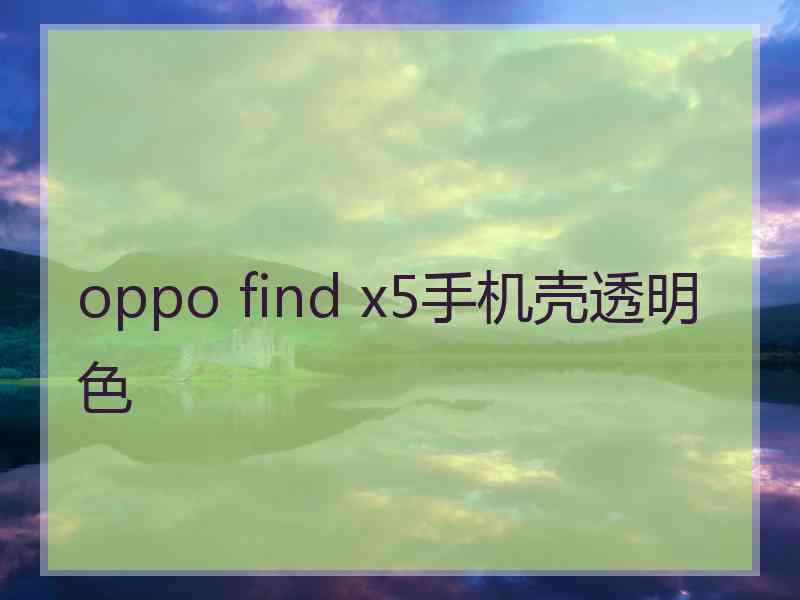 oppo find x5手机壳透明色