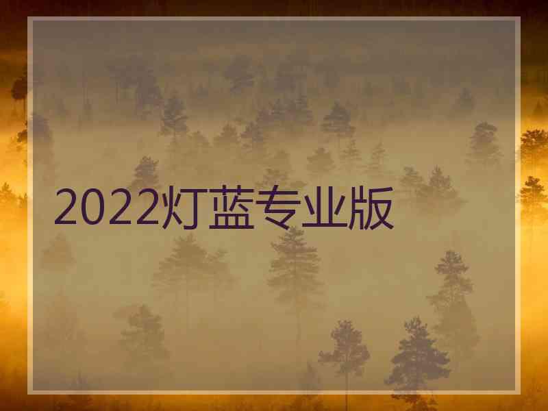 2022灯蓝专业版