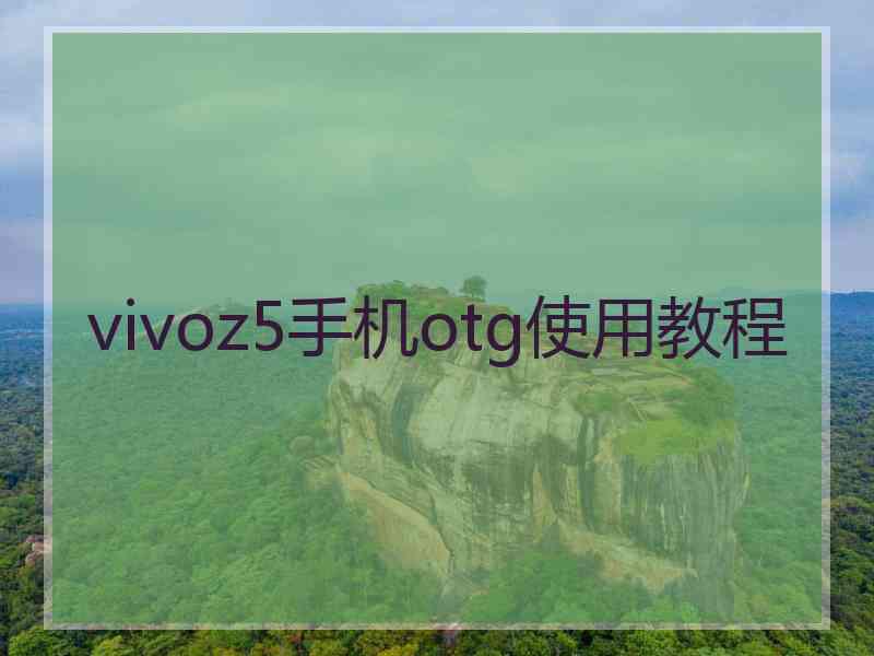 vivoz5手机otg使用教程