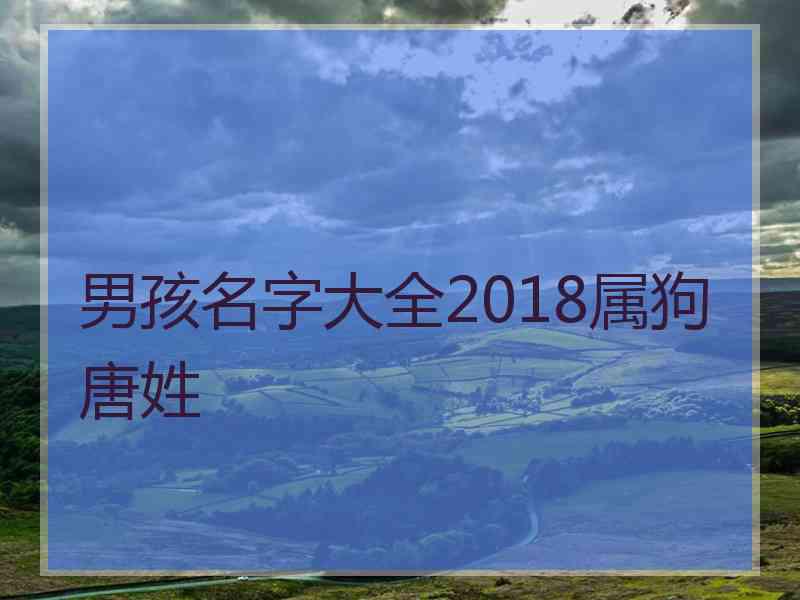 男孩名字大全2018属狗唐姓