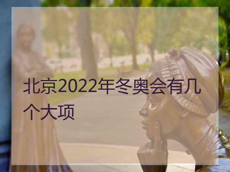 北京2022年冬奥会有几个大项