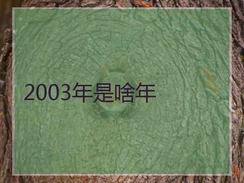 2003年是啥年