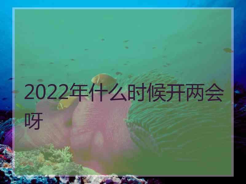 2022年什么时候开两会呀