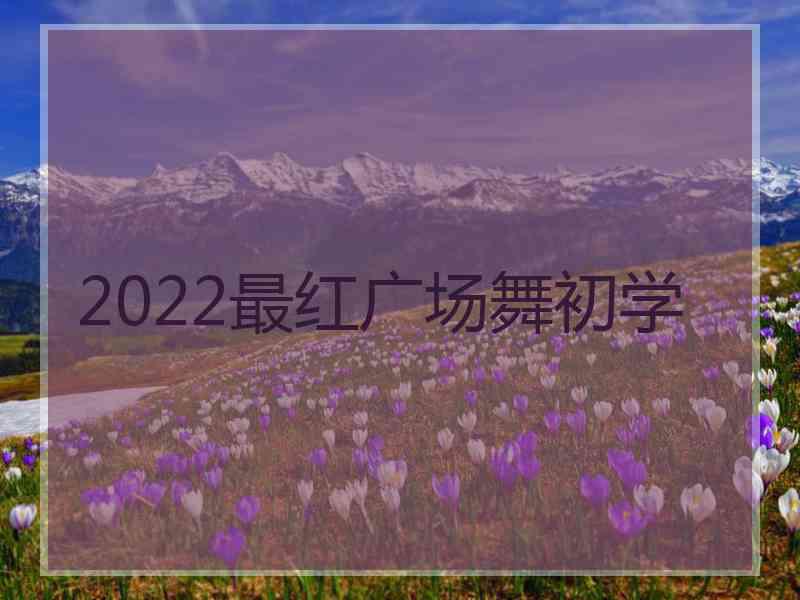 2022最红广场舞初学