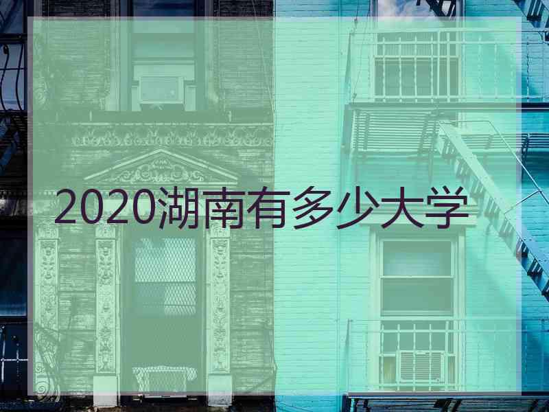 2020湖南有多少大学