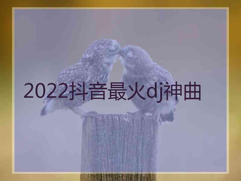 2022抖音最火dj神曲