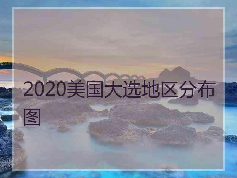 2020美国大选地区分布图