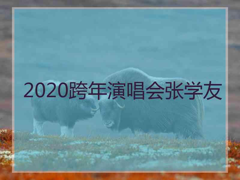 2020跨年演唱会张学友