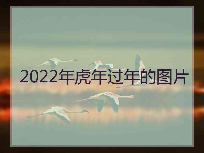 2022年虎年过年的图片