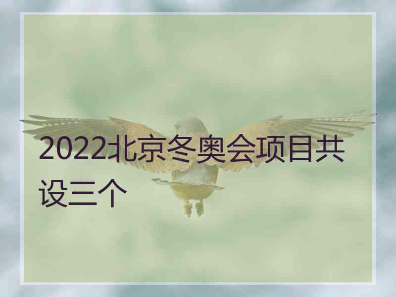 2022北京冬奥会项目共设三个