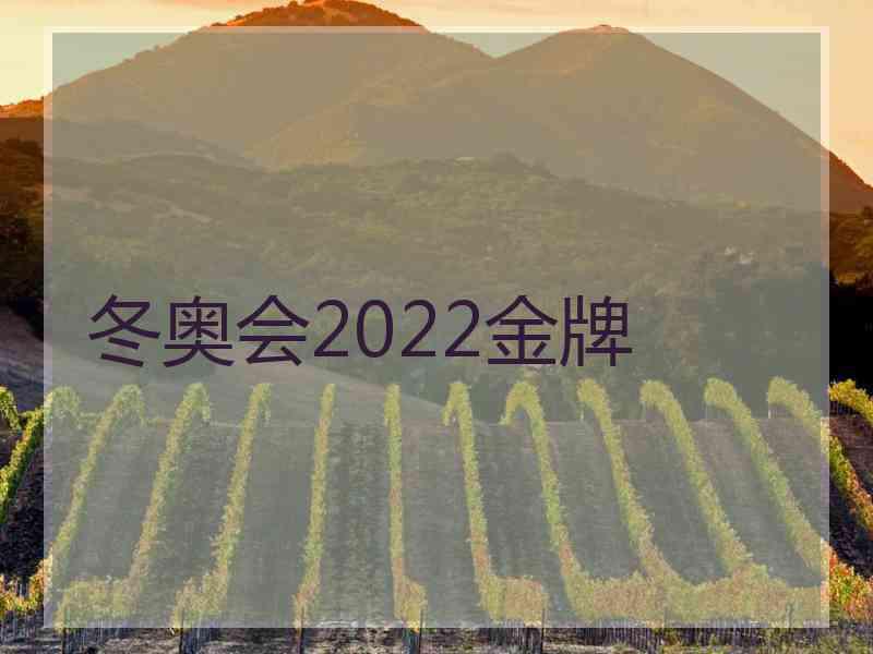 冬奥会2022金牌