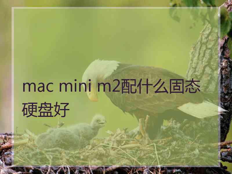 mac mini m2配什么固态硬盘好