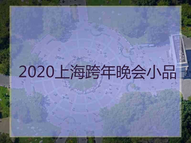 2020上海跨年晚会小品