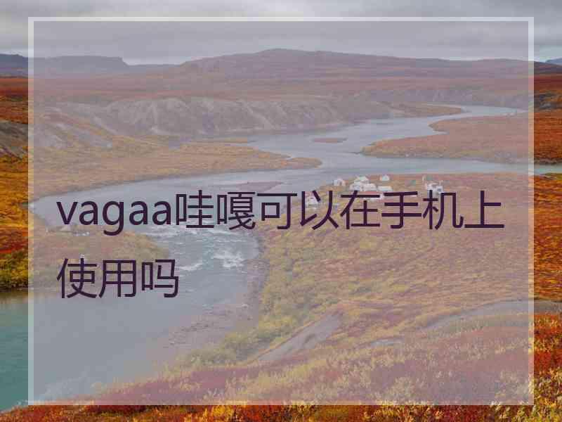 vagaa哇嘎可以在手机上使用吗