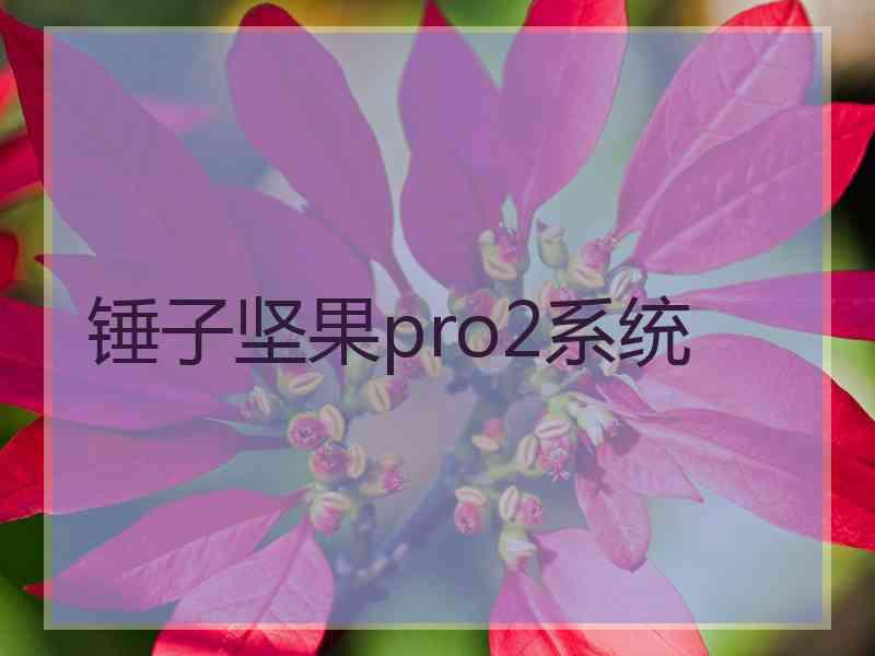 锤子坚果pro2系统