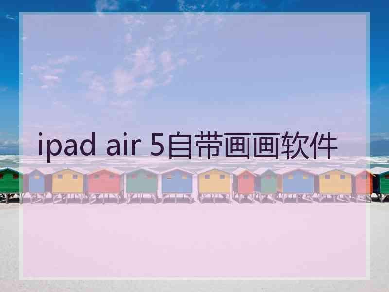 ipad air 5自带画画软件