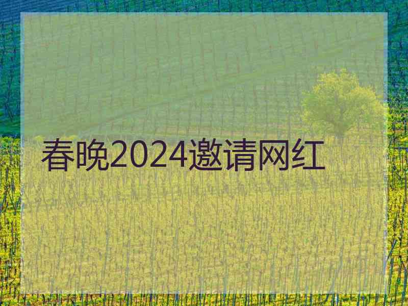 春晚2024邀请网红