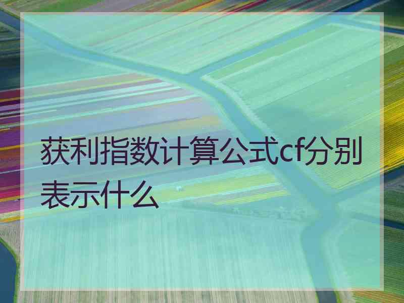 获利指数计算公式cf分别表示什么