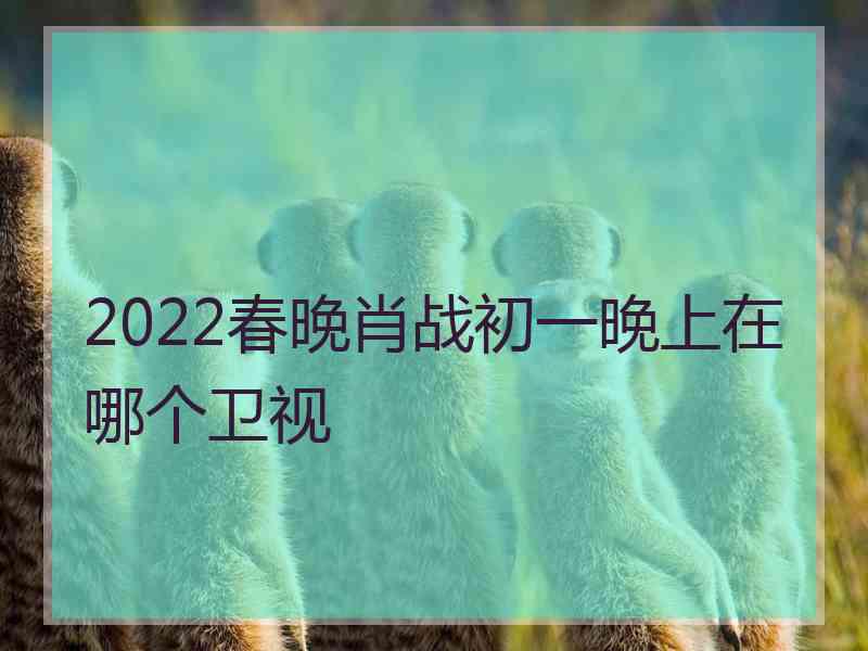 2022春晚肖战初一晚上在哪个卫视