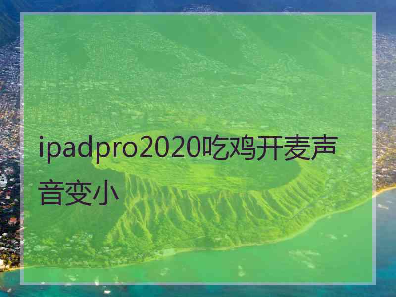 ipadpro2020吃鸡开麦声音变小