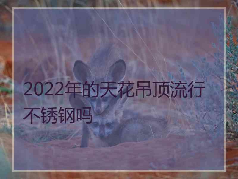 2022年的天花吊顶流行不锈钢吗