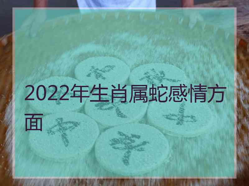 2022年生肖属蛇感情方面