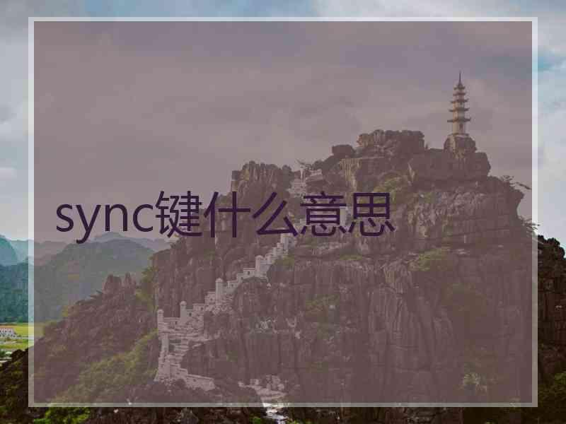 sync键什么意思