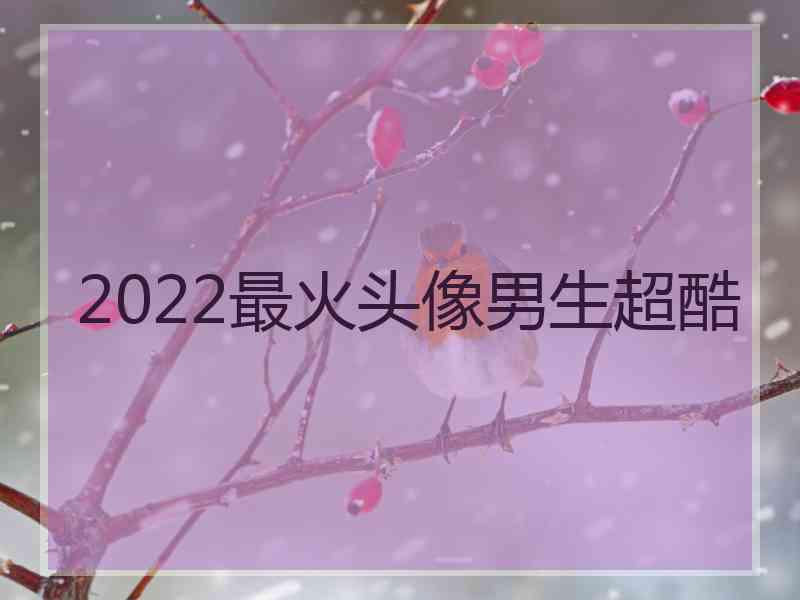 2022最火头像男生超酷