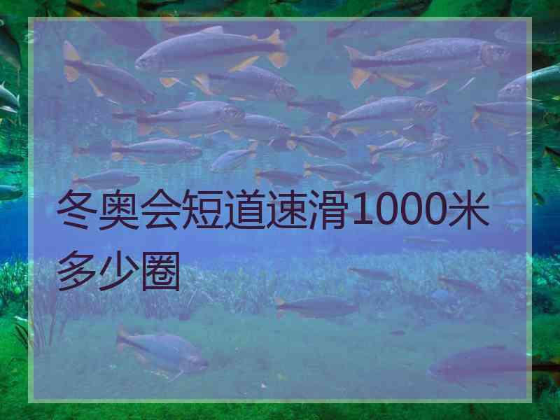 冬奥会短道速滑1000米多少圈