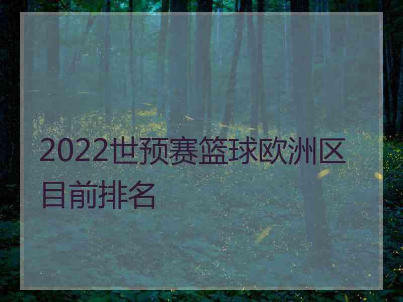 2022世预赛篮球欧洲区目前排名