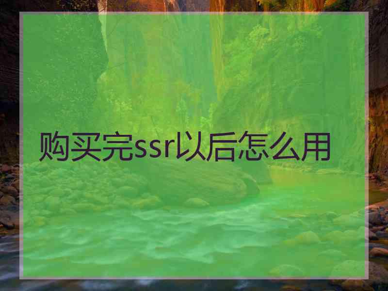 购买完ssr以后怎么用