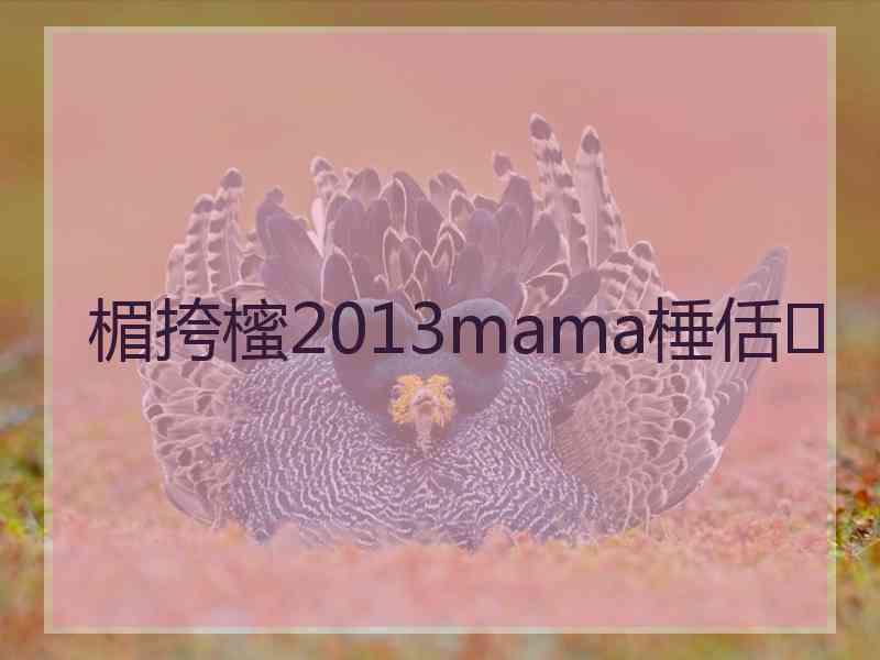 楣挎櫁2013mama棰佸