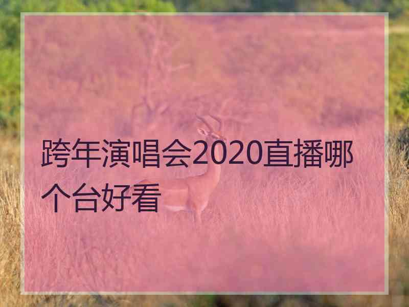 跨年演唱会2020直播哪个台好看