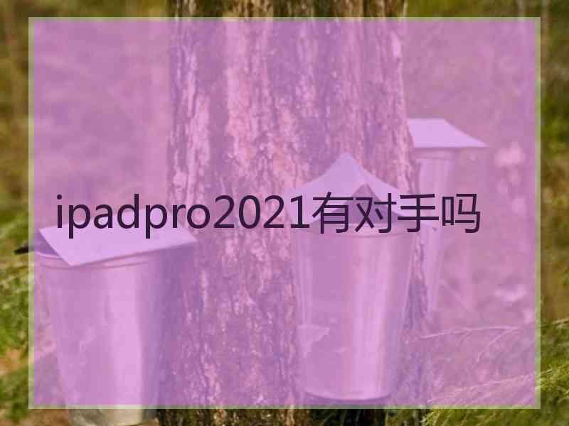 ipadpro2021有对手吗