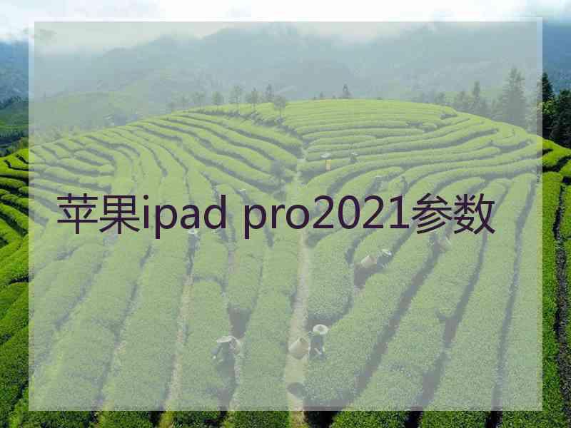 苹果ipad pro2021参数