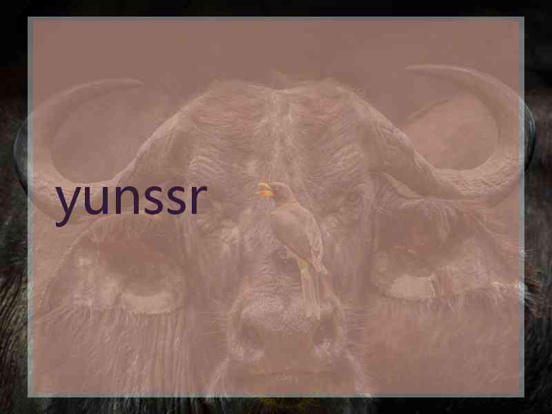 yunssr